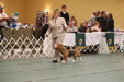 Enlarge photo 223