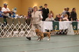 Enlarge photo 220