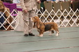 Enlarge photo 211