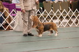 Enlarge photo 209