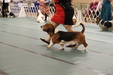 Enlarge photo 179