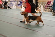 Enlarge photo 177