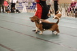 Enlarge photo 178