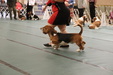Enlarge photo 175