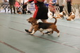 Enlarge photo 174