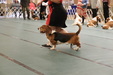 Enlarge photo 173