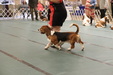 Enlarge photo 172