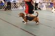 Enlarge photo 169