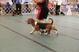 Enlarge photo 168