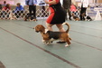 Enlarge photo 167