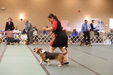 Enlarge photo 166
