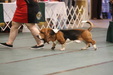 Enlarge photo 159