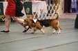 Enlarge photo 158
