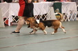 Enlarge photo 157