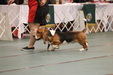 Enlarge photo 156