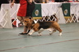 Enlarge photo 155