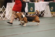 Enlarge photo 154