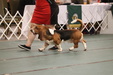 Enlarge photo 153