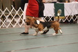 Enlarge photo 152