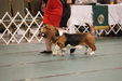 Enlarge photo 151