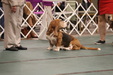 Enlarge photo 148