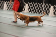 Enlarge photo 44