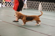 Enlarge photo 39