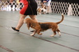 Enlarge photo 37