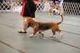 Enlarge photo 36