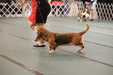 Enlarge photo 35
