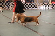 Enlarge photo 31