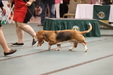 Enlarge photo 26