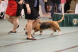 Enlarge photo 23