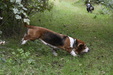 Enlarge photo 24