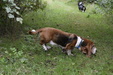 Enlarge photo 23
