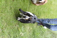Enlarge photo 19