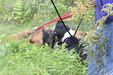Enlarge photo 14