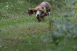 Enlarge photo 89