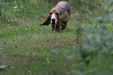 Enlarge photo 90