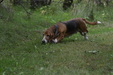 Enlarge photo 88