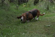 Enlarge photo 87