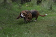 Enlarge photo 86