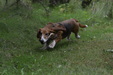 Enlarge photo 85