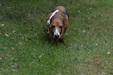 Enlarge photo 84