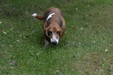 Enlarge photo 83