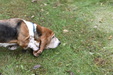 Enlarge photo 80