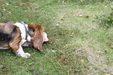 Enlarge photo 78
