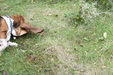 Enlarge photo 79