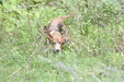 Enlarge photo 70