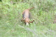 Enlarge photo 69